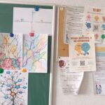 зображення_viber_2026-04-22_16-33-14-932